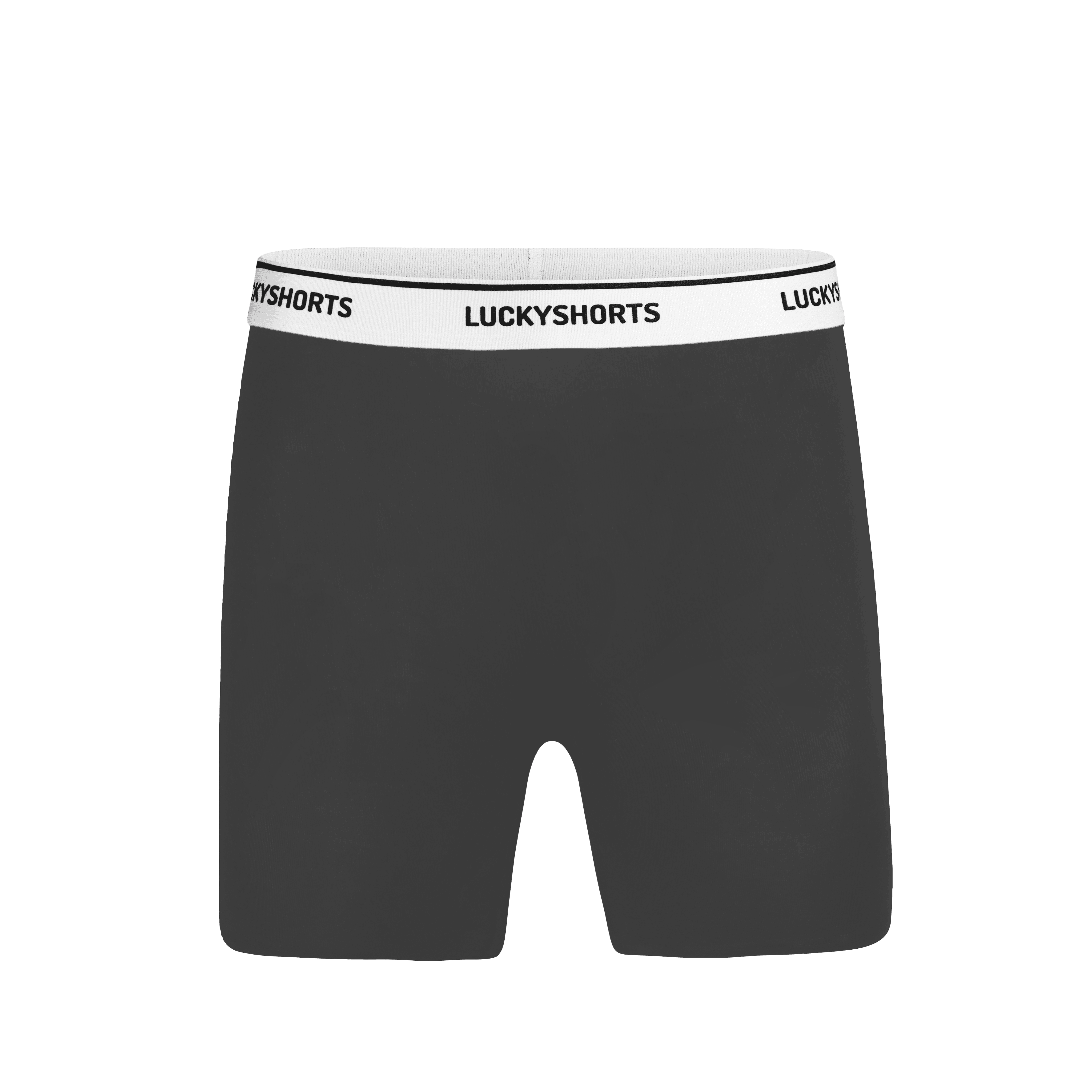 LUCKYSHORTS S / Grau Hohe Taille Lucky